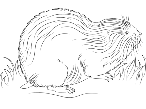 Cute Lemming Coloring Page